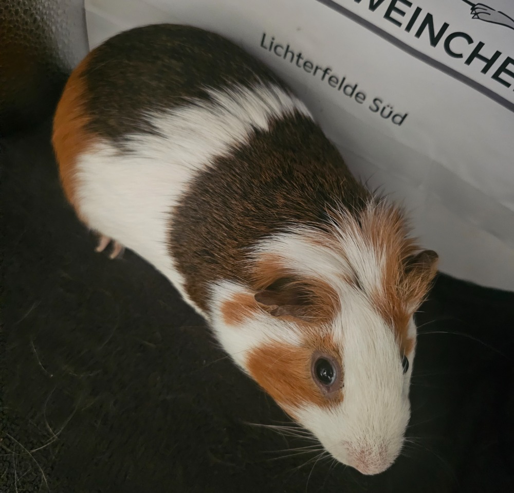 Charlie