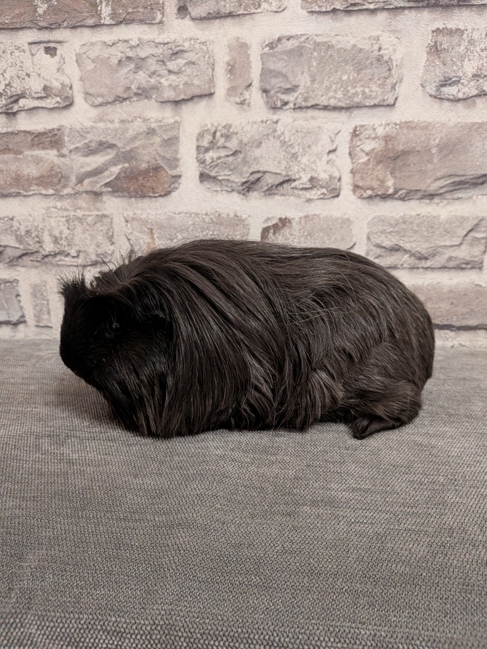 Sisko
