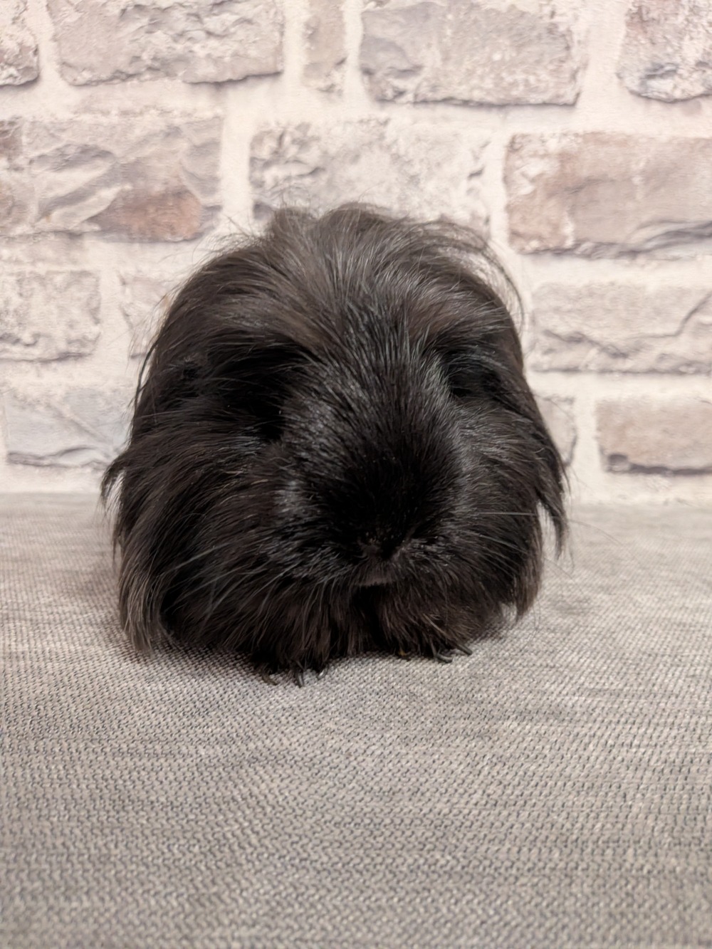 Sisko